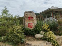 -东湖落雁景区