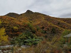 -雾灵西峰
