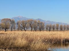 -野鸭湖国家湿地公园