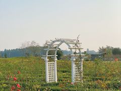 -空港花田景区