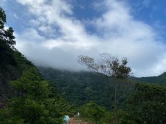 -梧桐山风景名胜区