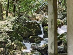 -天目山大树王景区