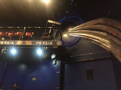 -琴岛演艺中心(中山路店)