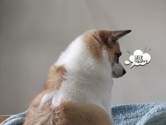 -南门涮肉(上海一店)