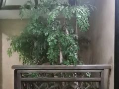 -姗娜娜足道·SPA(古北店)