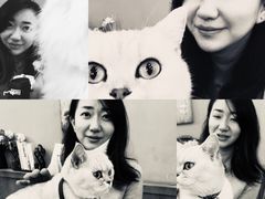 -李小姐の猫咖啡馆(五角场店)
