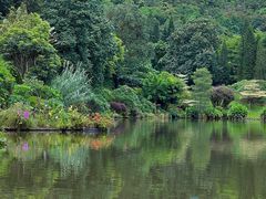 -深圳仙湖植物园
