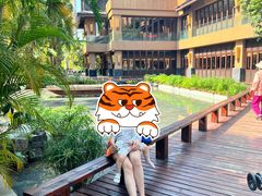 -三亚湾红树林度假世界(木棉酒店)