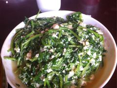 iphone_upload_pic-苍洱春饭店