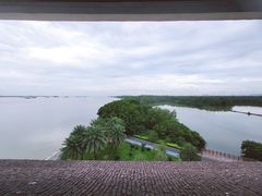 -大湾区中央湿地公园