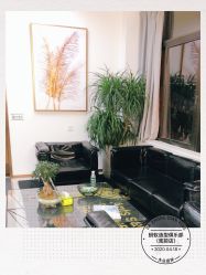 -蚂蚁造型沙龙