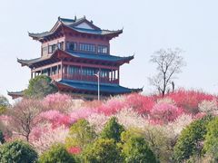 -南京市无想山景区