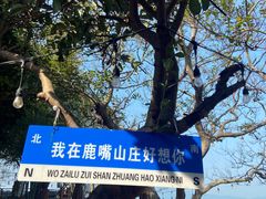 -美人鱼悬崖海景餐厅(鹿嘴山庄店)