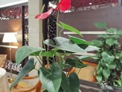 -杭州香格里拉·香宫中餐厅