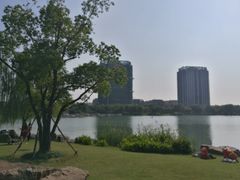 -南翔镇银翔湖公园
