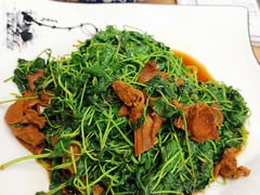 -老苏州大客堂·苏帮菜·松鼠桂鱼·苏州传统小吃(观前街人民商场店)
