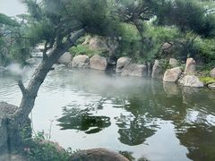 -罗红摄影艺术馆