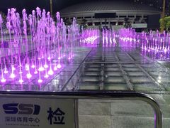 -深圳市体育中心体育馆主馆