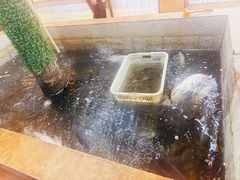 -高家小院铁锅炖大鹅(哈西高铁站店)