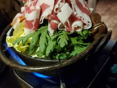 -春草居酒屋·晴子の店