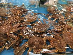 -宝燕海货工场(长江国际店)