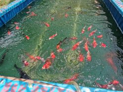 -萌宠亲子动物乐园(槐房万达店)