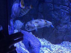 -成都浩海立方海洋公园