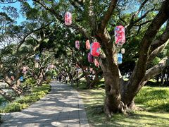 -江心屿景区