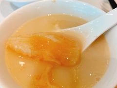 砂锅花胶响螺汤-金悦轩海鲜酒家(拱北店)