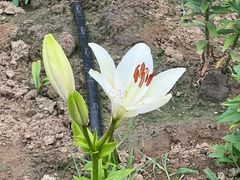 -中国农业博物馆
