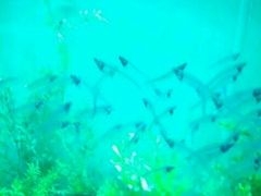 -常州海昌海洋探索馆