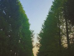 -山王坪喀斯特国家生态公园