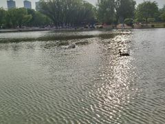 -太阳宫公园