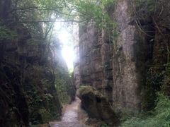 景点-山王坪喀斯特国家生态公园