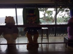 -济州岛泰迪熊博物馆