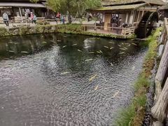 -富士山吉田線五合目