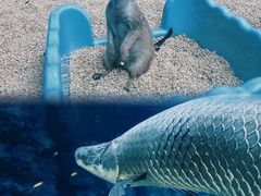 -南昌融创海世界