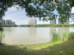 -南翔镇银翔湖公园