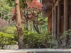 -和顺柏联温泉