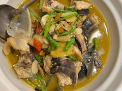 -饭怕鱼·黄焖鲟龙鱼(湖大店)