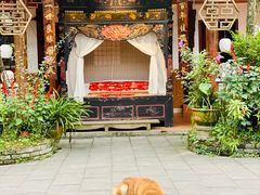 -青城甲(青城山店)