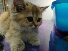 -乐宠宠物店(世纪金源店)