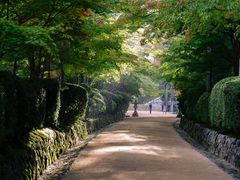 -成都濑川外国语学校