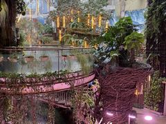 -正佳雨林生态植物园
