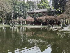 -温江公园