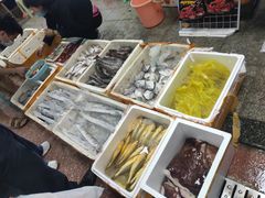 -渔人湾码头海鲜市场负二楼
