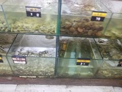 水产区-四海鲜渔家菜(黄金海岸店)