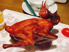 -大鸽饭(岗顶店)