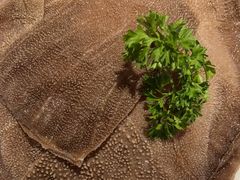 空运鲜毛肚-渝利重庆火锅