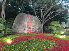-野狸岛